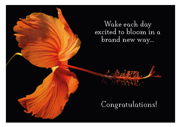 Orange Hibiscus - Wake Each Day Card