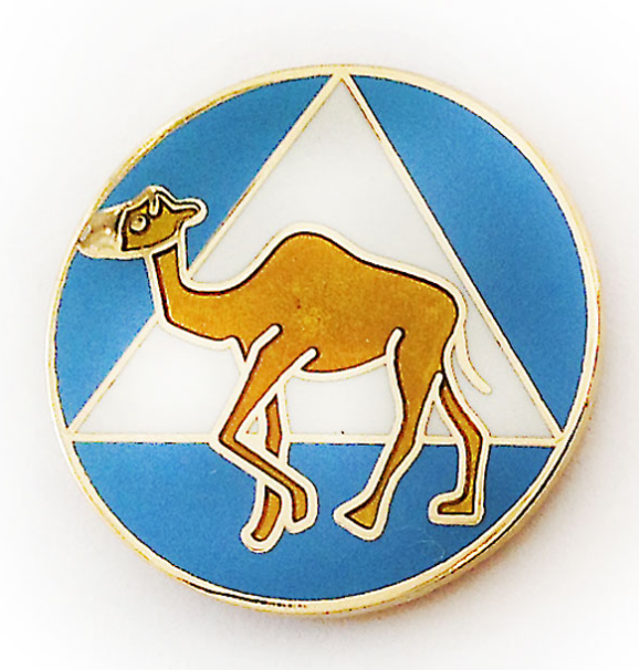 AA Symbol Camel Pin - Blue and White