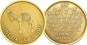 ODAT Camel Bronze Medallion