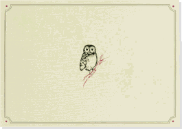 Note Card Owl Portrait
