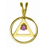 14k Gold, Medium Size AA Symbol with Birthstone - Click Image to Close