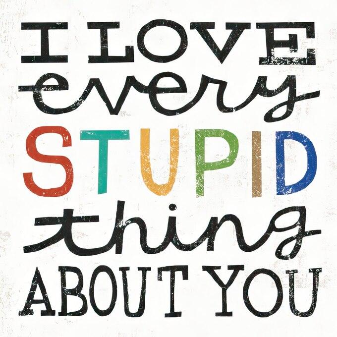 I Love Every Stupid Thing About You Magnet