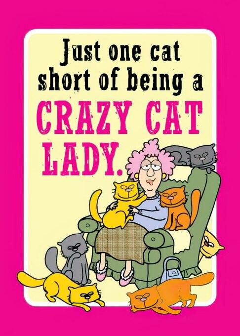 Just One Cat Short of Being a Crazy Cat Lady Magnet