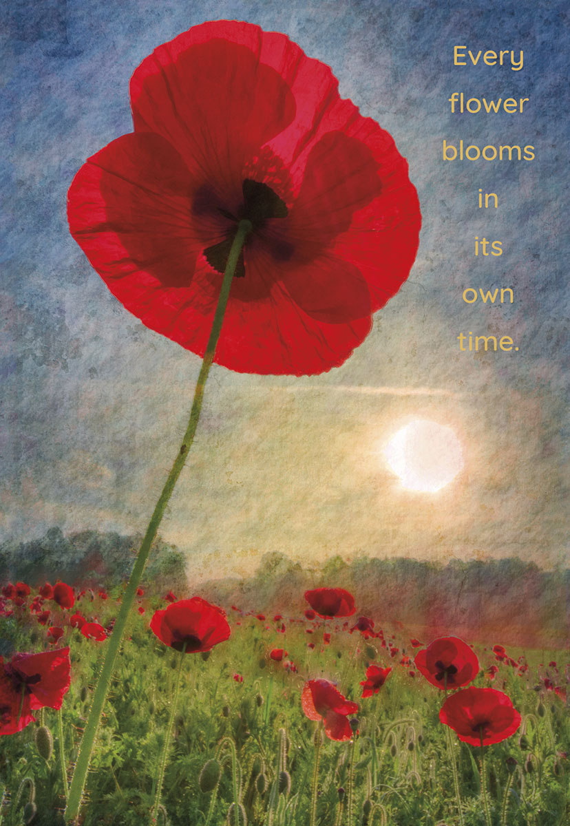 Every Flower Blooms in its Own Time Card