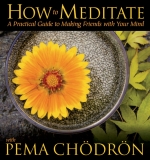 How to Meditate CD