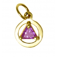 14k Gold, Small Size AA Symbol with Birthstone