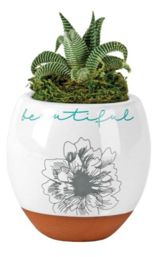 You Are Beautiful Terra Cotta Flowerpot - Click Image to Close
