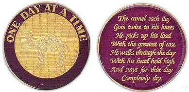 One Day at a Time / The Camel Verse Coin