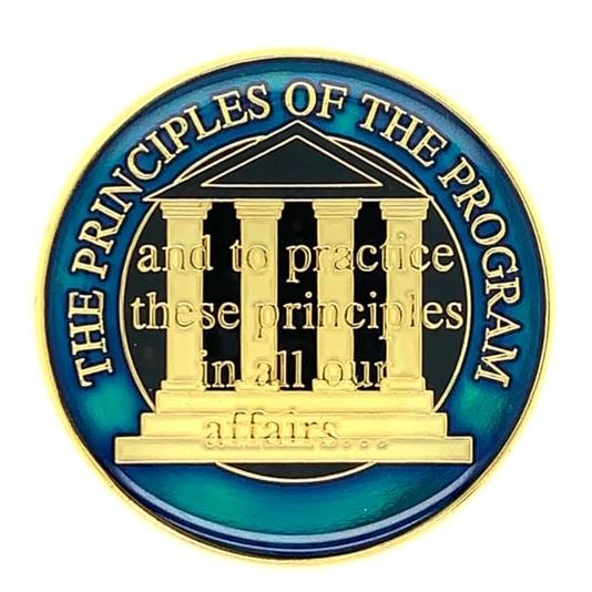 Principles of the Program Coin - BLUE