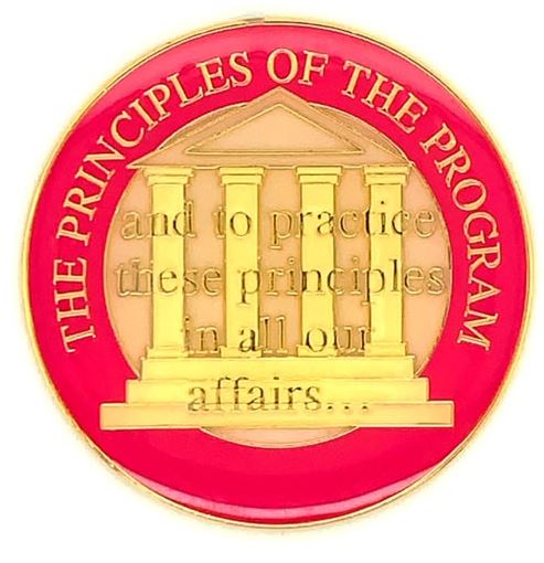 Principles of the Program Coin - PINK
