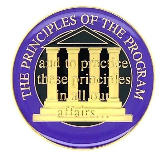 Principles of the Program Coin - PURPLE - Click Image to Close