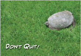 Don't Quit Card 2 - Click Image to Close