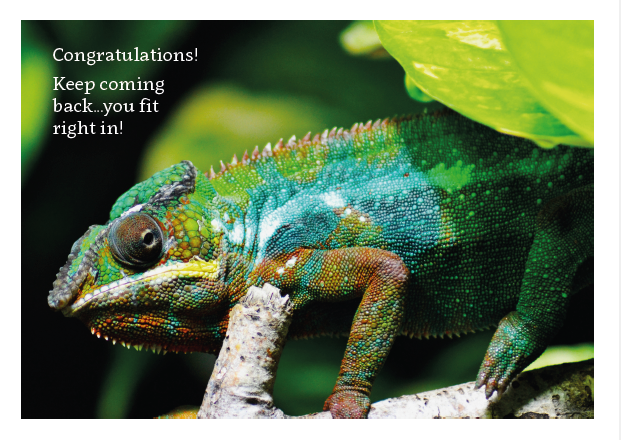 Chameleon - Congratulations! Card