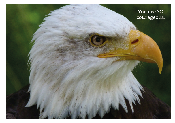 You are SO Courageous Eagle Card