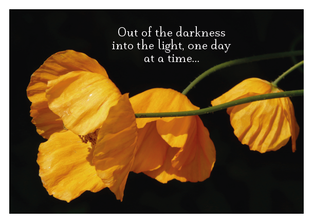Yellow Poppies - Out of the Darkness Card - Click Image to Close
