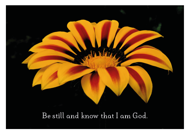 Yellow Red Daisy - Be Still Card - Click Image to Close