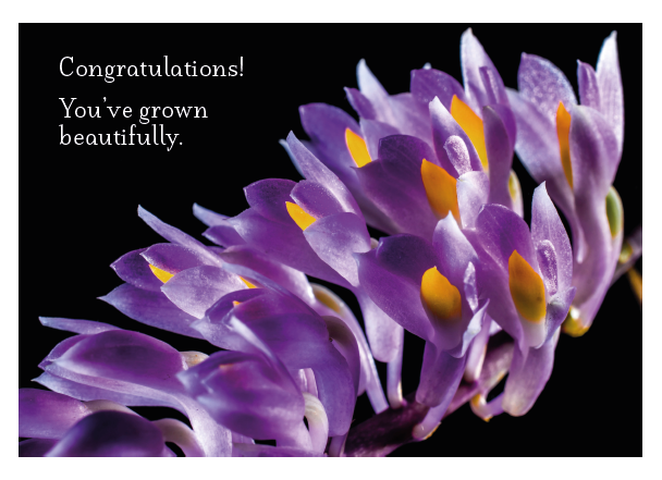 Purple Orchid Card - Click Image to Close