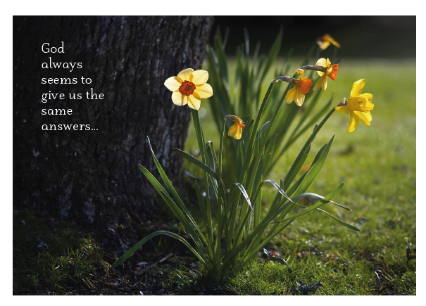 God Always Seems...Daffodils Card