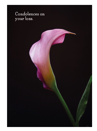 Condolences Orchid Card - Click Image to Close