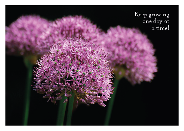 Purple Thistle - Keep Growing Card - Click Image to Close