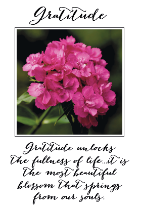 Gratitude Card - Click Image to Close