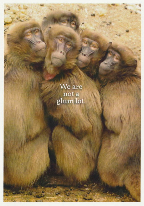 Not a Glum Lot - Monkey Card - Click Image to Close