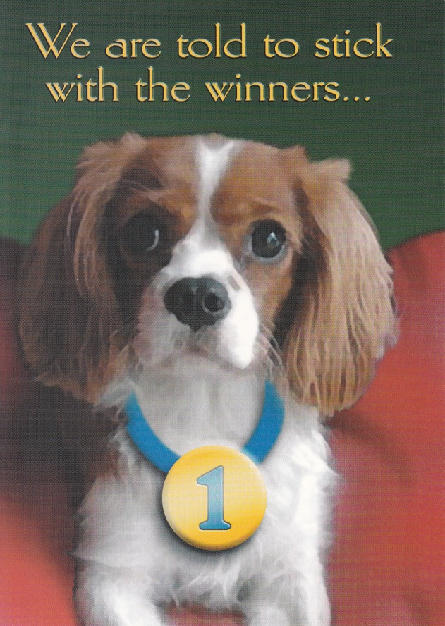 Stick With The Winners Dog Card