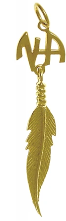 14k Gold Pendant, NA Initials with a Single Feather - Click Image to Close