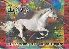 Live Like Someone Left the Gate Open Rectangular Magnet - Click Image to Close