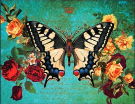 Butterfly Card (LARGE)