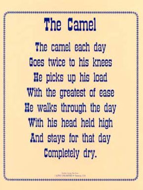 The Camel Laminated Poster - Click Image to Close