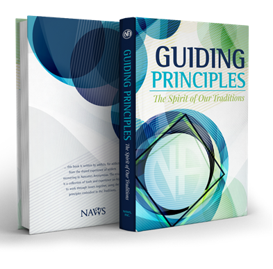 NA Guiding Principles