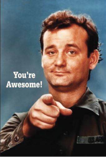 You're Awesome (Bill Murray) Rectangular Magnet