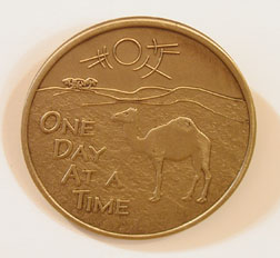 Camel ODAT Bronze Medallion - Click Image to Close