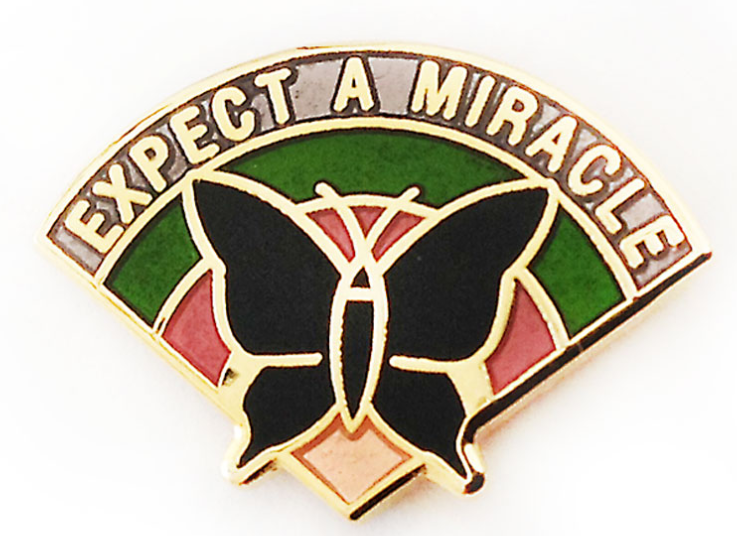 Expect a Miracle Butterfly Pin - Click Image to Close