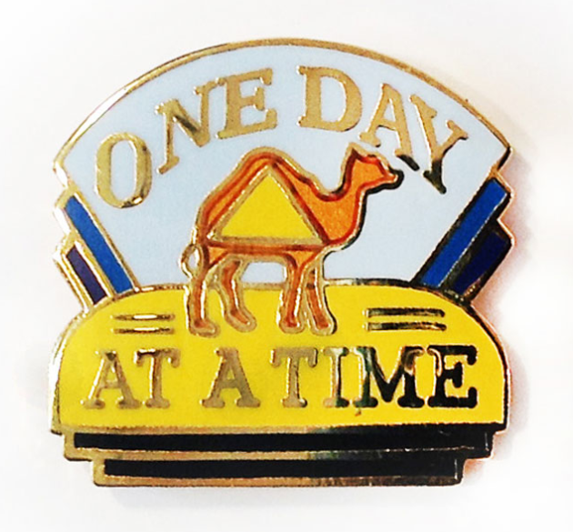 One Day at a Time Camel Pin