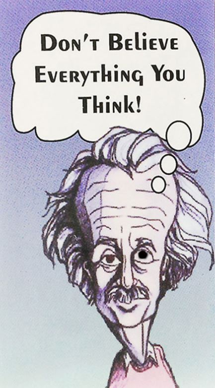 Don't Believe Everything You Think Einstein Magnet - Click Image to Close