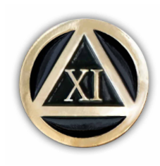 1 Year Anniversary AA Symbol Pin