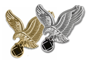 NA Symbol Eagle 1" Pin - Gold or silver