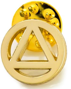 Gold Plated AA Symbol Lapel Pin