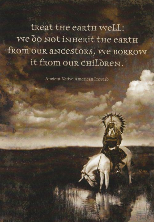 Treat the Earth Well Native American Card - Click Image to Close