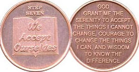 Step 7 Copper Commemorative Coin