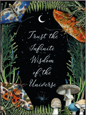 Trust the Infinite Wisdom of the Universe Card